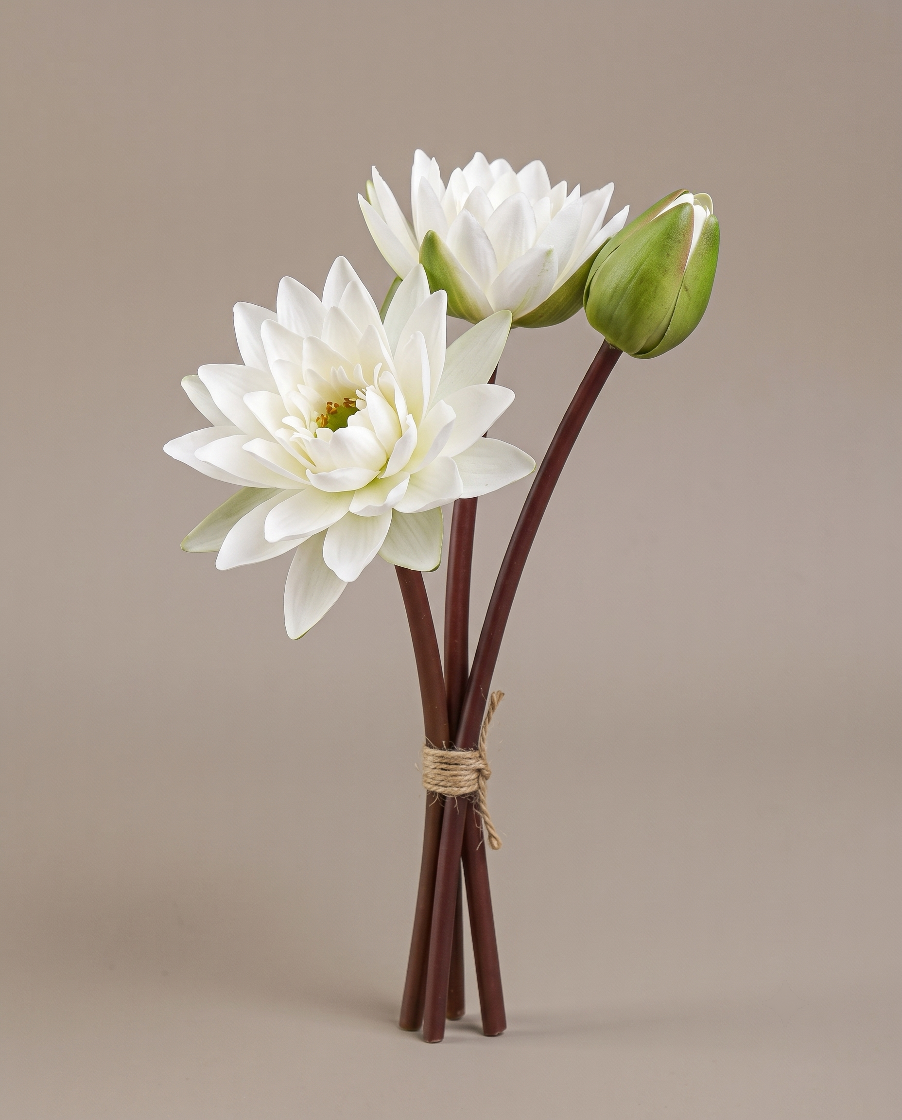 Lotus Sticks